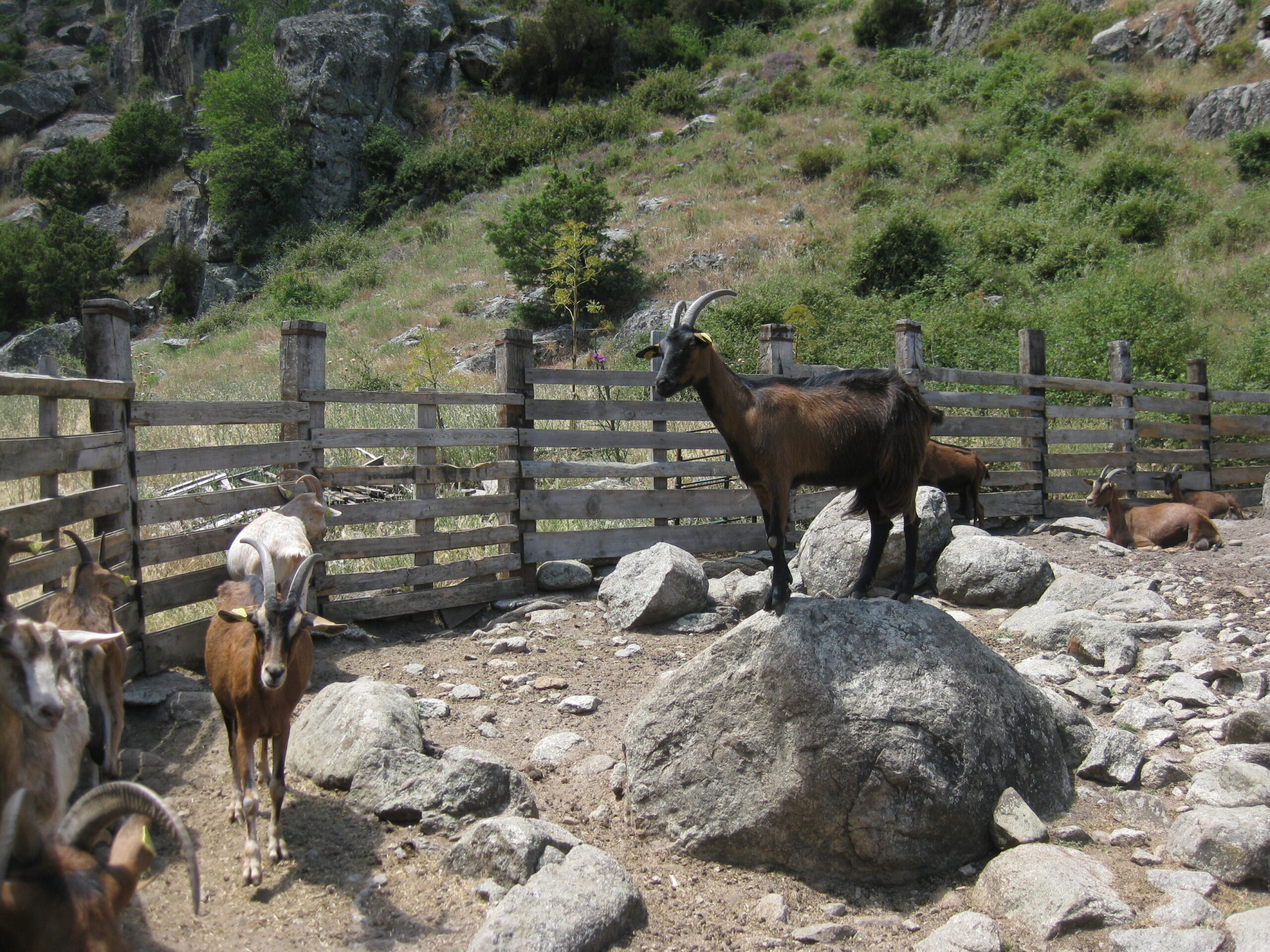 Plateau Andernos